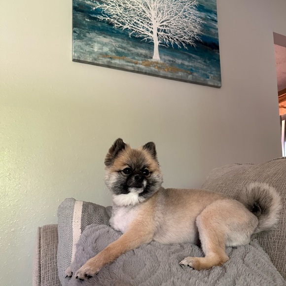 ❤️LOVES OFFERS ❤️! - Picture 13 of 16